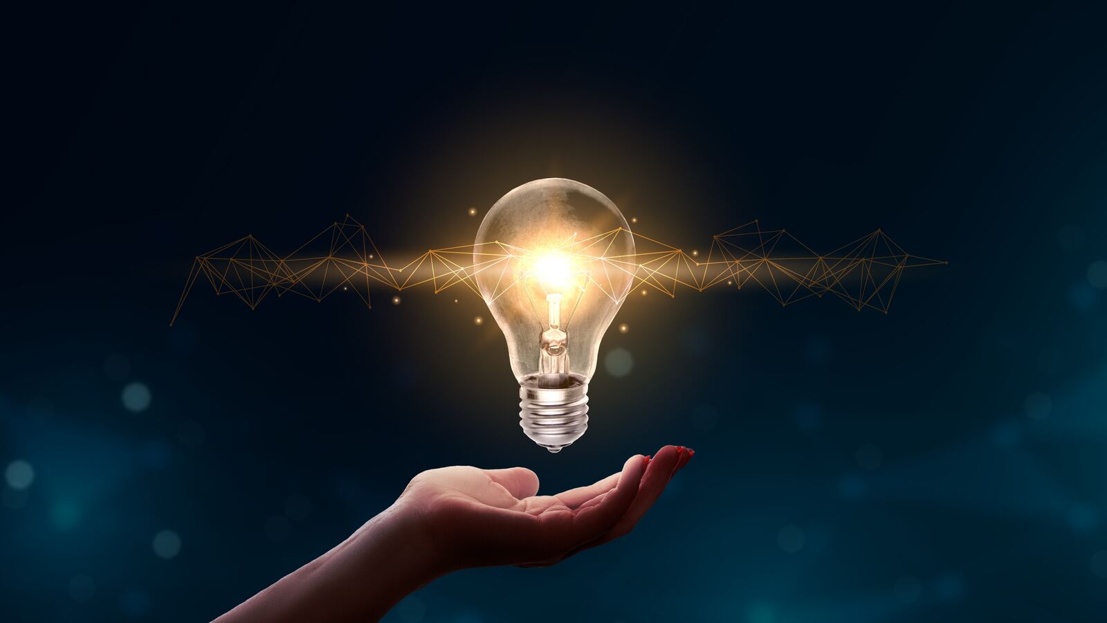 DigiServe team working on a client project